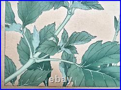 Japanese Woodblock Print DAHLIA 2 Rakuzan Flower Botanical Antique