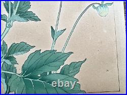 Japanese Woodblock Print DAHLIA 2 Rakuzan Flower Botanical Antique