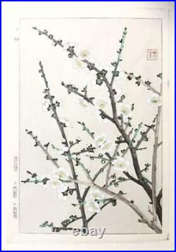 Japanese Woodblock Print Flower Ume Shodo Kawarazaki by Unsodo Kyoto