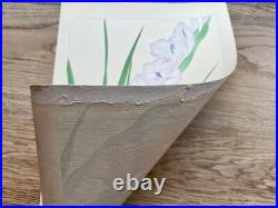 Japanese Woodblock Print GRADIOLUS Tsuchiya Rakuzan Antique Original