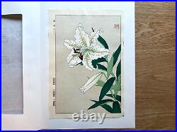 Japanese Woodblock Print Gold-Banded Lilly Kawarazaki Shodo Flower Vintage