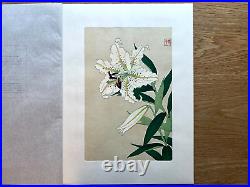 Japanese Woodblock Print Gold-Banded Lilly Kawarazaki Shodo Flower Vintage