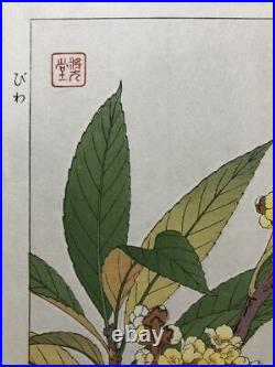 Japanese Woodblock Print KAWARAZAKI SHODO Nihonga Meiji Shinsaku #799