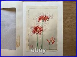 Japanese Woodblock Print Lycoris Kawarazaki Shodo1960 Flower Vintage Original