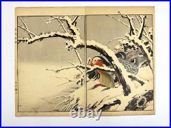 Japanese Woodblock Print Mandarin duck from Keinen Kacho Gafu Bird