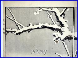 Japanese Woodblock Print Mandarin duck from Keinen Kacho Gafu Bird Japanese Woodblock Print Mandarin duck from Keinen Kacho Gafu Bird