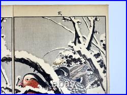 Japanese Woodblock Print Mandarin duck from Keinen Kacho Gafu Bird