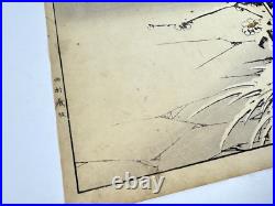 Japanese Woodblock Print Mandarin duck from Keinen Kacho Gafu Bird