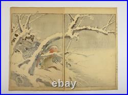 Japanese Woodblock Print Mandarin duck from Keinen Kacho Gafu Bird