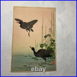 Japanese Woodblock Print Mizu-Dori-Haru Sozan Ito Authentic Work Vintage