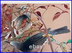 Japanese Woodblock Print Nandina and Bulbul Rakuzan Bird Vintage Original