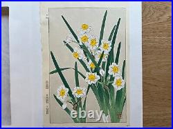 Japanese Woodblock Print Narcissus Kawarazaki Shodo Floral Botanical Art