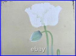 Japanese Woodblock Print PAPAVEN SOMNIFERUM Tsuchiya Rakuzan Flower Antique