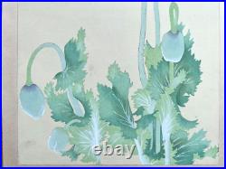 Japanese Woodblock Print PAPAVEN SOMNIFERUM Tsuchiya Rakuzan Flower Antique