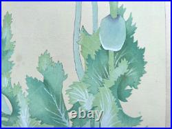 Japanese Woodblock Print PAPAVEN SOMNIFERUM Tsuchiya Rakuzan Flower Antique