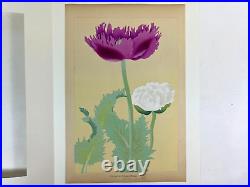Japanese Woodblock Print PAPVEN SOMNIFERUM Rakuzan Flower Vintage Original