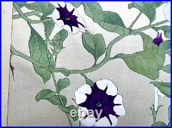 Japanese Woodblock Print PETUNIA Tsuchiya Rakuzan Botanical Antique Original