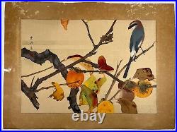 Japanese Woodblock Print Persimmon and Shrike? Rakuzan Bird Original Vintage