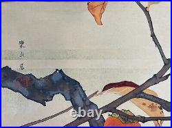 Japanese Woodblock Print Persimmon and Shrike? Rakuzan Bird Original Vintage