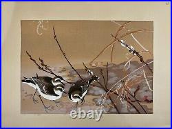 Japanese Woodblock Print Pussy willow and Plover Rakuzan Bird Vintage