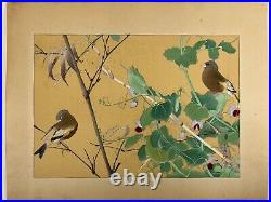 Japanese Woodblock Print Red peas and Loquat Rakuzan Bird Vintage Original