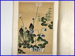 Japanese Woodblock Print Rimpa Hyakkafu vol. 7 6 Print Vintage Original 1930