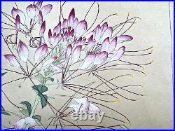 Japanese Woodblock Print SPIDER PLANT Tsuchiya Rakuzan Chigusa Soun Foral Art