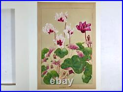 Japanese Woodblock Print SYCLAMEN Rakuzan 1931 Flower Vintage Original