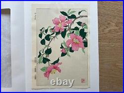 Japanese Woodblock Print Sazanka Kawarazaki Shodo Floral Botanical Art