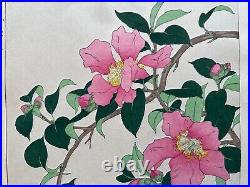 Japanese Woodblock Print Sazanka Kawarazaki Shodo Floral Botanical Art