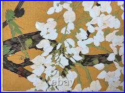 Japanese Woodblock Print White Wisteria and Kujakuan Bird Rakuzan Bird Vintage