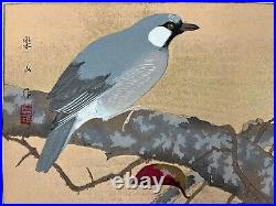 Japanese Woodblock Print White-bellied Woodpecker Rakuzan Bird Vintage