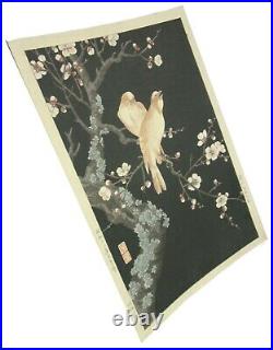 Japanese Woodblock Print by NISHIMURA HODO Plum Blossoms and Canaries