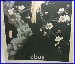 Japanese Woodblock Print by NISHIMURA HODO Plum Blossoms and Canaries