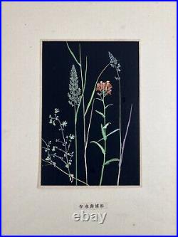 Japanese Woodblock flower print Chikusa no Kaori 18 print Sugiura Hisui 1932