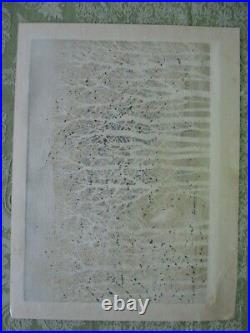 Japanese woodblock print Fumio Fujita Hawk in Forest 1979 #127/200