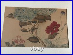 Japanese woodblock print Ukiyoe 1920s A frothy Poppy by Hoitsu