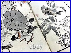 Japanese woodblock print book, Bairei Hykucho Gafu 100 birds picture