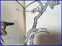 Japanese woodblock print book, Bairei Hykucho Gafu 100 birds picture