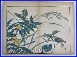 Japanese woodblock print book, Shiki no Hana vol. 8 Sakai Hoitsu Rinpa 1908