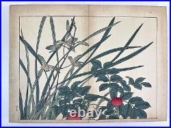 Japanese woodblock print book, Shiki no Hana vol. 9 Sakai Hoitsu Rinpa 1908