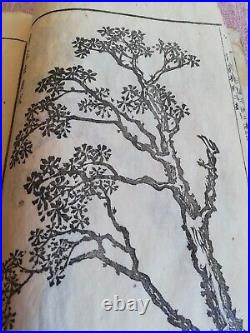 KAWAMURA BUNPO Antique Japanese Woodblock Print Book KANGA SHINAN Painting Gafu