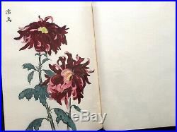 KEIKA Beautiful Bizarre Chrysanthemum Collection Color Woodblock print Book #1