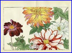 KONAN Japanese ukiyo-e woodblock floral print DAHLIA 2