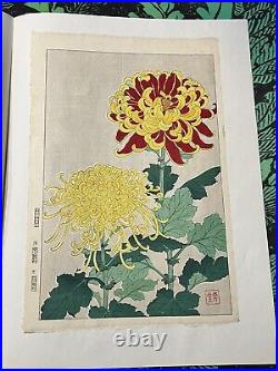 Kawarazaki Shodo Japanese Woodblock Print CHRYSANTHEMUM Flower plants KIKU