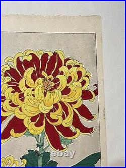 Kawarazaki Shodo Japanese Woodblock Print CHRYSANTHEMUM Flower plants KIKU