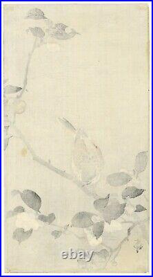 Koson Ohara, Bird and Flowering Camellia, Original Japanese Woodblock Print
