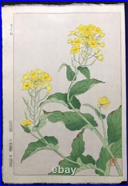 Long-term storage Woodblock print Canola plant painting Ukiyoe From Japan