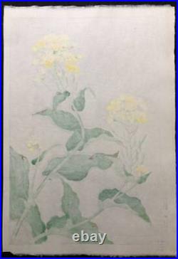 Long-term storage Woodblock print Canola plant painting Ukiyoe From Japan
