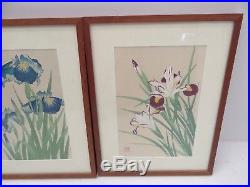 Matching Framed Modern Botanical Floral Flowers Japanese Woodblock Prints Art